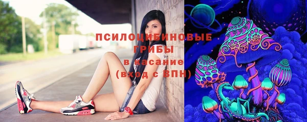 дурь Алексеевка